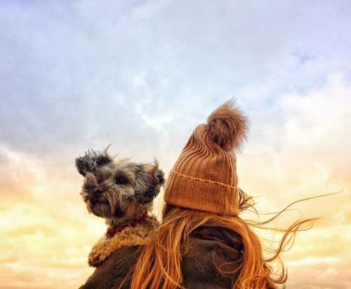 A rear view of fashionable young girl wearing a woolly bobble hat and holding her scruffy pet dog on her shoulder on a windy day in autumn or fall