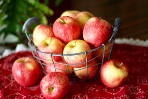 Gala apples in a wire basket on a red bandana-print tablecloth