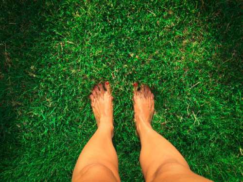 Looking down at woman's feet on green grass