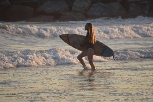 Young female surfer walking with h surfboard through the waves during golden hour