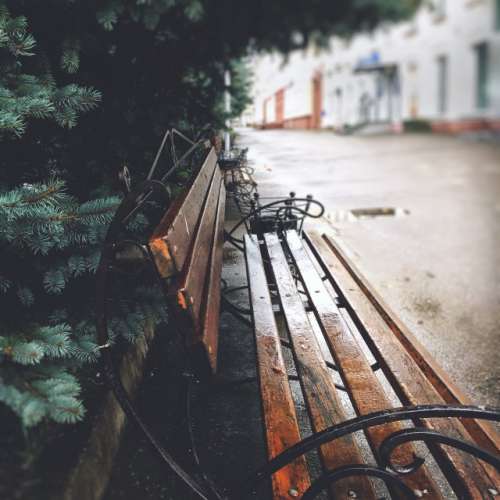 The bench in a secret Siberian city in the middle of the taiga. 