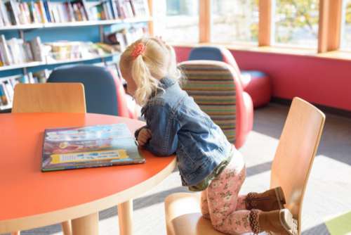 Little preschool aged girl with blond pigtails at the library looking at a book

💫