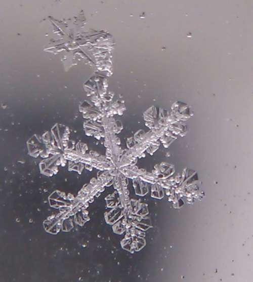 A macro photo of a snowflake I took.