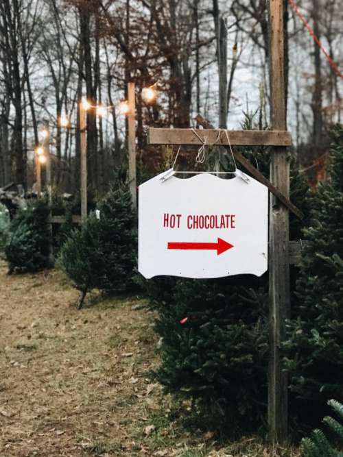 Hot chocolate at the Christmas tree farm
