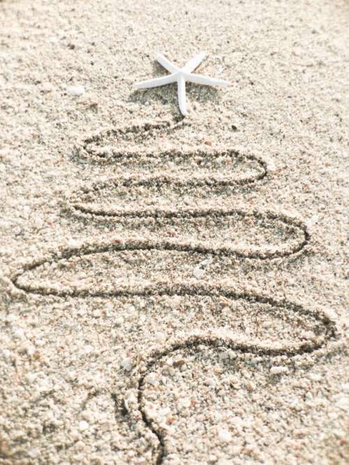 Christmas tree on the sand 