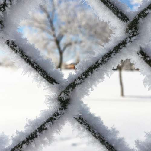 Winter fence