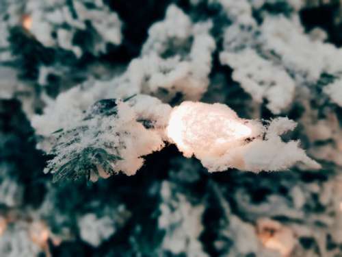 📷nominated📷 Snow covered christmas tree with pinecone shaped lights.