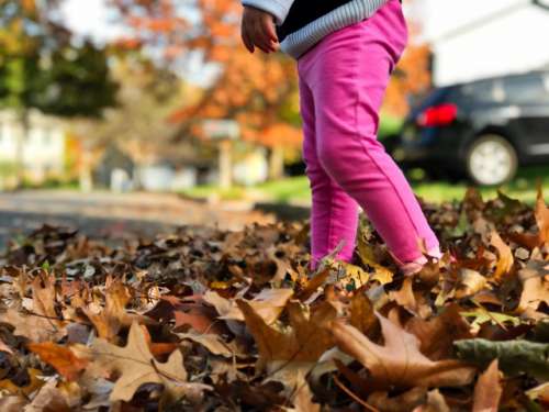 Little girl in pink leggings walking through a pile of bright colored dry fall leaves on a residential street enjoying the outdoors, autumn, fall
*nominated*