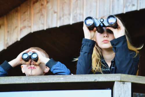 Children using binoculars