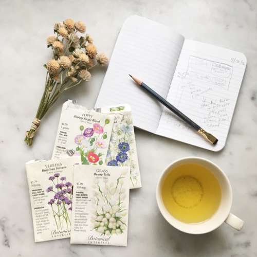 Planning a garden in spring with seed packets and tea