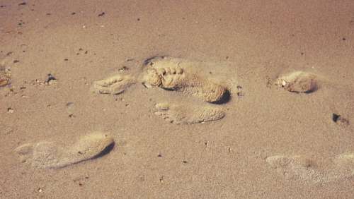 sand beach footprints feet walking