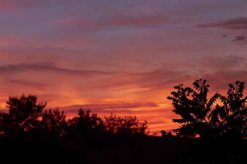 sunset trees sunrise vibrant clouds