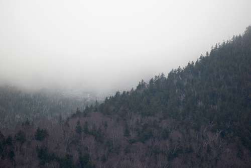 fog mountain trees climate weather