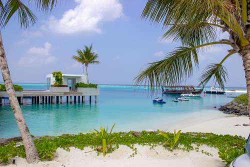 Maldives Beach View