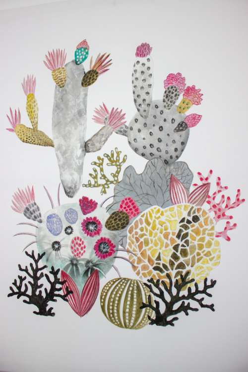 Cactuses Drawing