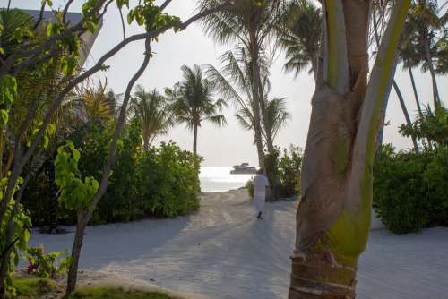 Man Dressed in White Walking on a Beach Among the Trees Towards the Sea