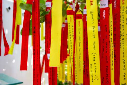 Wishes Written on Red and Yellow Paper Placed on a Tree