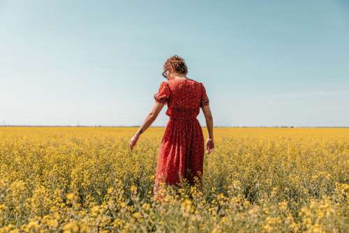 Woman Reaches For Flowers Photo