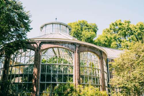 Botanical Garden Amsterdam Photo