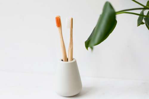 Eco-friendly Toothbrushes In Holder Photo
