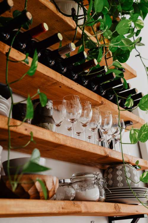 Wine Shelves Photo