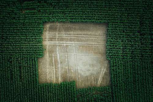 Aerial View Of Blank Section Of Corn Field From Drone Photo
