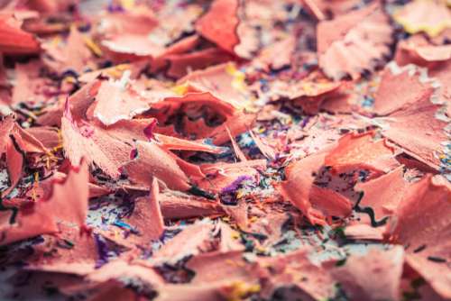 Close Up Of Pencil Shavings Photo