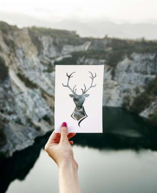 A hand holding a stag shaped paper cut out template