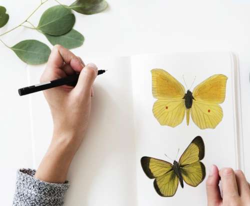 Overhead view of a hand writing on notebook with butterflies