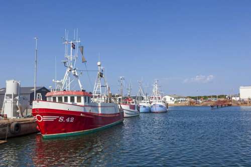 Fishing vessels moored at a dock