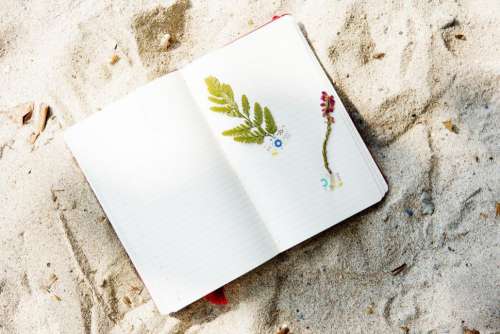 Journal on the Beach