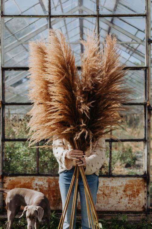 The woman is holding the pampas grass