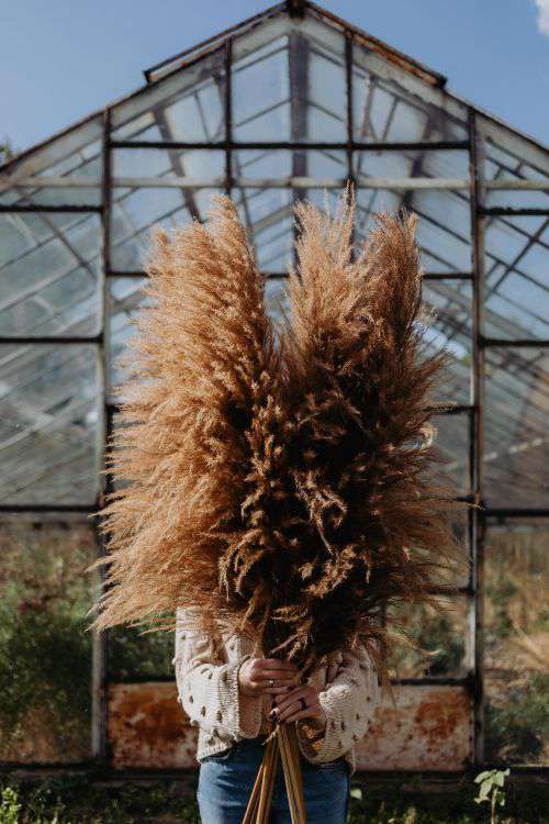 The woman is holding the pampas grass