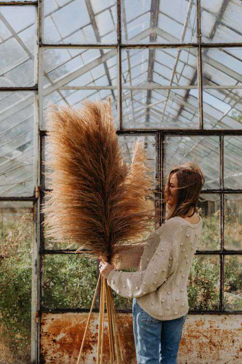 The woman is holding the pampas grass