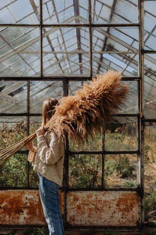 The woman is holding the pampas grass