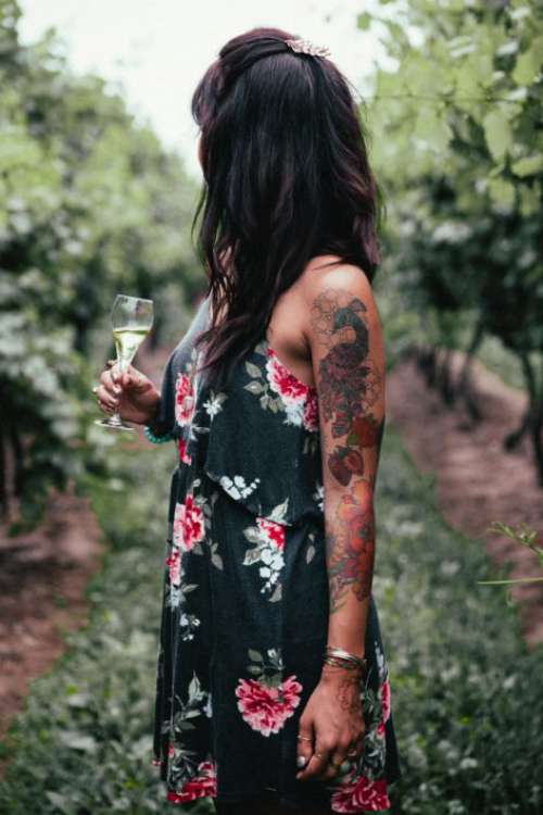 Woman in Vineyard Free Photo