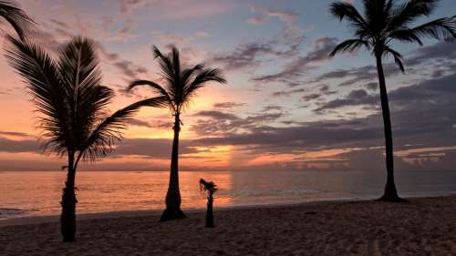 Tropical Beach Sunset Free Photo