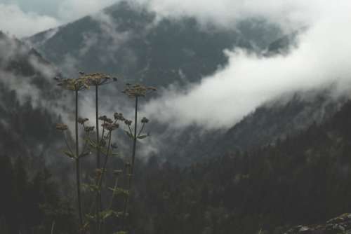 Landscape Scenic Clouds Free Photo