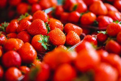 Strawberries Free Photo