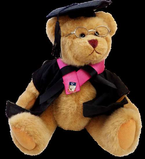 Teddy Bear Cute Toy Professor Education Teaching