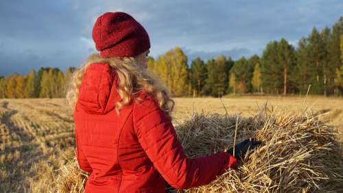 Girl Hay Nature Red Grass Straw Woman Hair