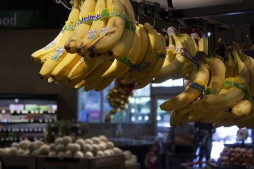 Banana Ripe Yellow Fruit Healthy Food Bananas