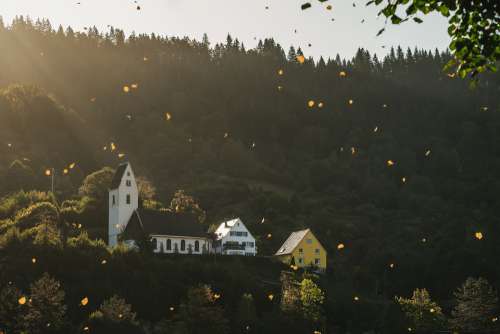 Autumn Leaves Are Falling Golden Landscape Church