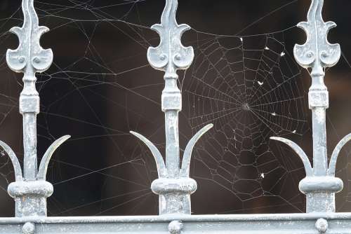 Spider Webs Iron Wrought Iron Web Filigree