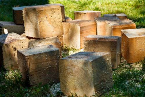 Logs Firewood Wood Tree Billet Sawdust Stock