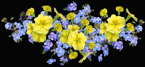 Flowers Primroses Veronica Spring Arrangement