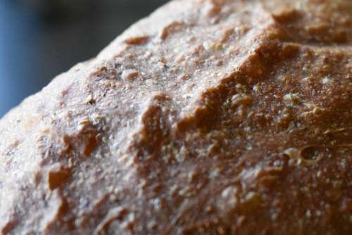 Bread Baking Close Up Macro Food Fresh Baked