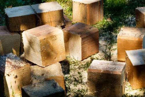 Logs Firewood Wood Tree Billet Sawdust Stock