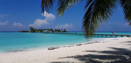 Maldives Sand Sea Rest Sea Sand Palm Trees