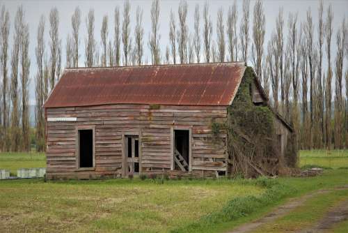 Shed Old Wooden Rusty Roof Run Down Wairarapa